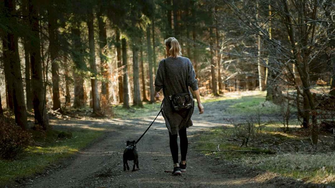 esta-es-la-velocidad-a-la-que-deberia-caminar-para-prevenir-la-hipertension,-segun-harvard