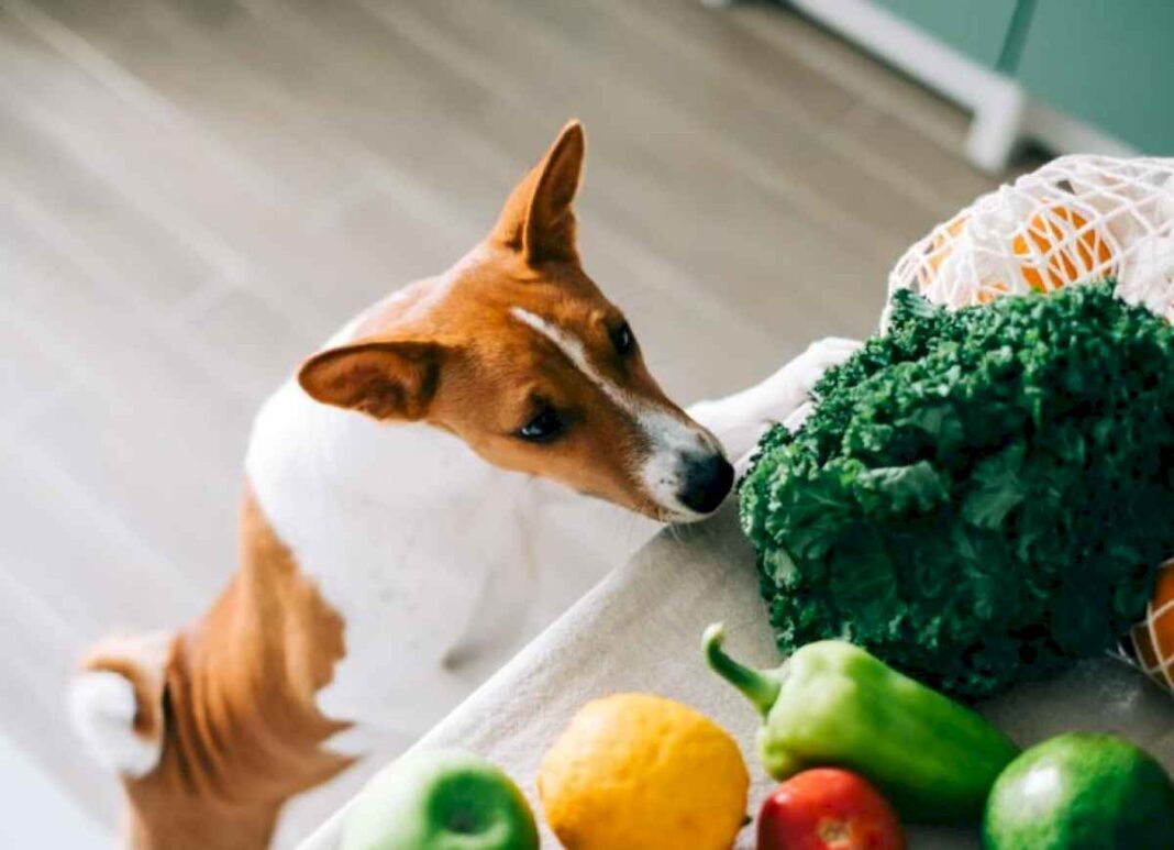 el-alimento-que-ayuda-a-prevenir-las-piedras-en-el-rinon