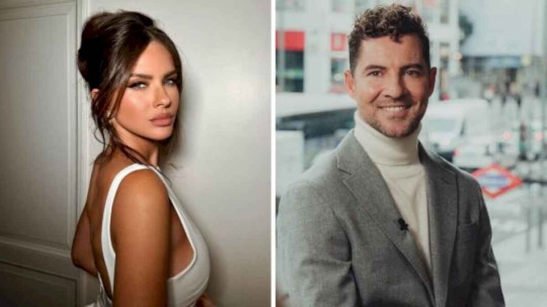 aseguran-que-la-china-suarez-interrumpio-el-romance-de-david-bisbal-con-una-famosa-modelo