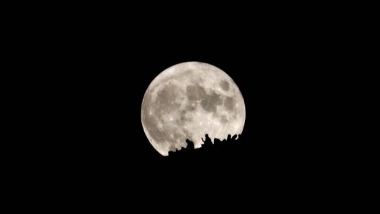 1859083-calendario-lunar-de-agosto-cuando-termina-la-luna-llena-y-llega-el-cuarto-menguante
